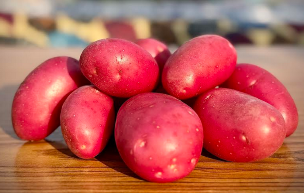 Potatoes Export from Pakistan